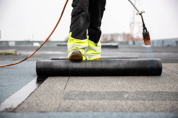 Best Roof Inspection  in Anthony, NM